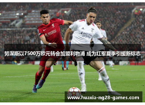 努涅斯以7500万欧元转会加盟利物浦 成为红军夏季引援新标志 努涅斯以7500万欧元转会加盟利物浦 成为红军夏季引援新标志