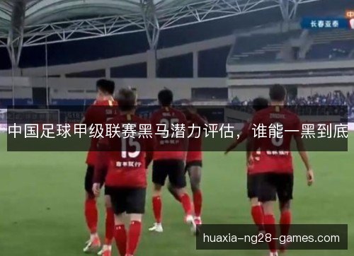 中国足球甲级联赛黑马潜力评估,谁能一黑到底 中国足球甲级联赛黑马潜力评估,谁能一黑到底